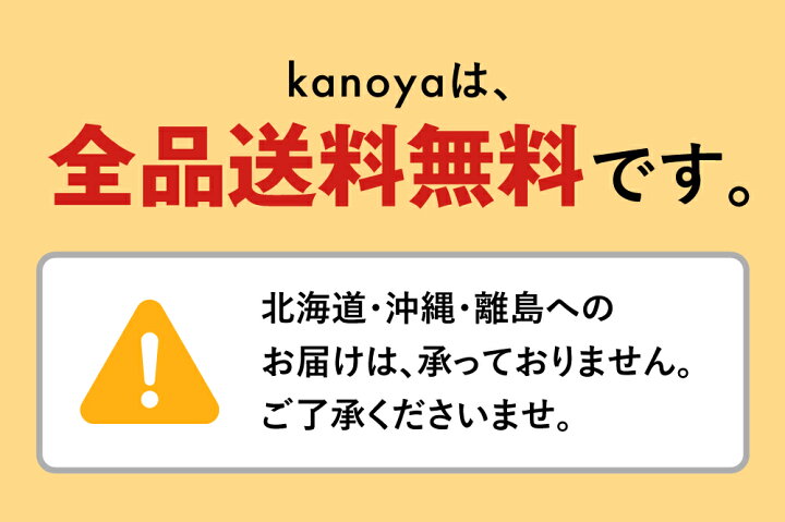 ギフト お返し アイス アイスクリーム チョコ チョコレート バニラ 福袋 詰め合わせ スイーツ おしゃれ 一口アイス 3000円 台 内祝い 引っ越し挨拶 出産内祝い 快気内祝い 結婚祝い お祝い チョコアイスボール65粒 | 鹿野屋 - kanoya -