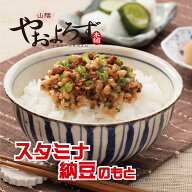 スタミナ納豆 の素 170g 山陰やおよろず本舗 寿製菓 山陰 鳥取 ご当地グルメ ソウルフード 倉吉 倉吉市 …