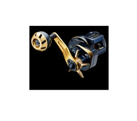 ダイワ　21ソルティガ　IC　100