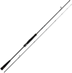 _C@AEgCW BR SLJ 610MS