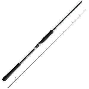 \eB[AhoX SEABASS S96M
