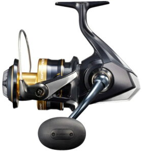 V}m@21XtFX SW@6000PG