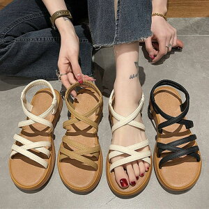 T_ fB[X X|[cT_ Ȃ ʋC RtH[gT_  r[`T_ y ₷ XgbvT_ r[` Xj[J[ X|[c T_ AEg