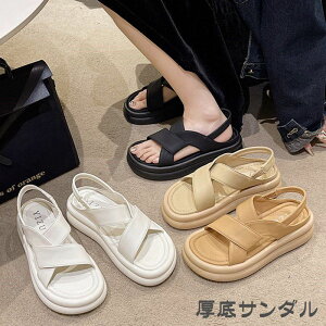 T_ fB[X X|[cT_ Ȃ ʋC q[5cm RtH[gT_  r[`T_ y C ₷ XgbvT_ r[` Xj[J[ X|