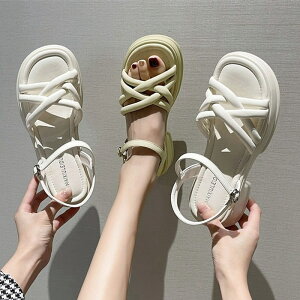 T_ fB[X T_ Ȃ ʋC RtH[gT_ q[5cm  r[`T_ y C ₷ XgbvT_ r[` Xj[J[ X|[cT