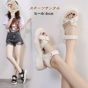 X|[cT_ fB[X q[6cm T_ Ȃ ʋC Xj[J[T_ T_  r[`T_ y C ₷ XgbvT_ r[` Xj