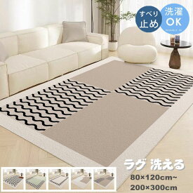 ラグマット 洗える ラグ カーペット 滑り止め 200×300cm 絨毯 マット 北欧 おしゃれ 屋内マット リビング 室内 屋内 床暖房対応 じゅうたん オールシーズン 冬 夏 ウォッシャブル ふわふわ 高級感 子供部屋 寝室 ペット 韓国インテリア 新生活応援 多機能 80×120