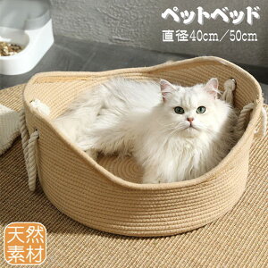 ybgxbh ėp ҂ ybgnEX L  ^ Lxbh xbh ېOK I[V[Y ybgxbg ybgpi 薰 ~ xe Q Lp pi Lpi x