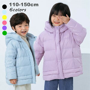 t[ht ȃR[g q R[g ̎q j̎q  LbY q hR[g  y ~AE^[ _EWPbg xr[ gbvX n Vv WjA  j ~ ؍ 