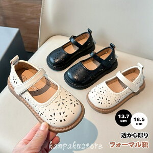 tH[}V[Y ̎q T_  tH[}C vZXC LbY qC V[Y _XC q hXV[Y sAm C WjA xr[ w w ʊw w 