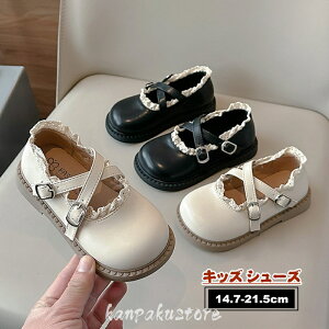 tH[}V[Y ̎q tH[}C vZXC LbY qC V[Y _XC q hXV[Y sAm\ C WjA xr[ w w ʊw w  t 