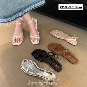 T_ fB[X y^R pvX 1.5cmq[ tbg XNGAgD ₷ r [q[ XgbvT_ ~[ Xbp ₷ r[`T_ r[` ]