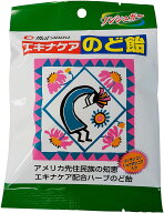 メール便最短発送！！エキナケアのど飴 選べる 1袋 2袋 3袋 4袋 セット 喉の痛み のど飴 よく 効く のど…