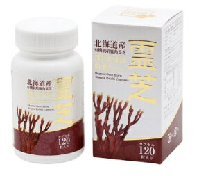 @pŃJvZ@120 kCYL@͔|pŕ100% L@JASF kCHi@\\xiwV[DojF kC