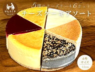 チーズケーキ 5種 アソート 6カット 食べ比べ ホール 4号 12cm スイーツ ケーキ ホワイトデー ギフト プ…