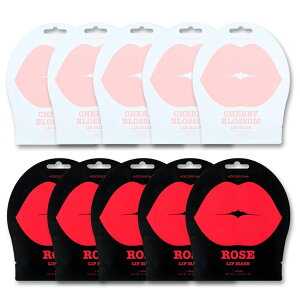 RRX^[ KOCOSTAR [Ybv}XN 3gy2×5z + `F[ubTbv}XN 3gy2×5zOpbN R[Q qA_ nChQ ؍RX u  ێ v  p