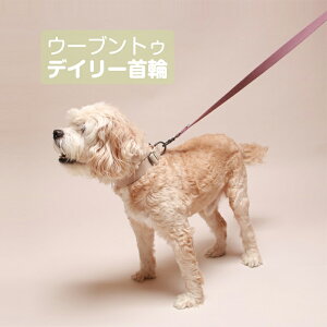 E[ugD fC[  3F ybgp vȖDƋňSSI U  _炩gp 芴  ̎  т   p ^ ^