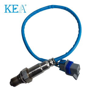 KEA O2�Z���T�[ 2CV-203 �R���x�b�g C6 19209807