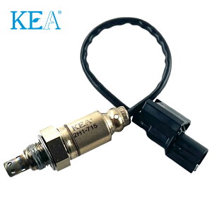 KEA O2ZT[ 2H1-715 Dunk _N AF78 36532-GGZ-J41