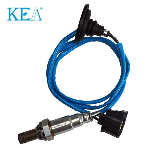 KEA O2�Z���T�[ 2M0-239 �M�������t�H���e�B�X CY4A ���A���p 1588A144