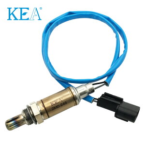 y16܂œzKEA O2ZT[ 2M0-246 x CD5W MD176245