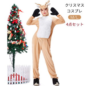 Fearless NX}X RXv giJC  NX}X T^ ߑ  NX}XW T^N[X