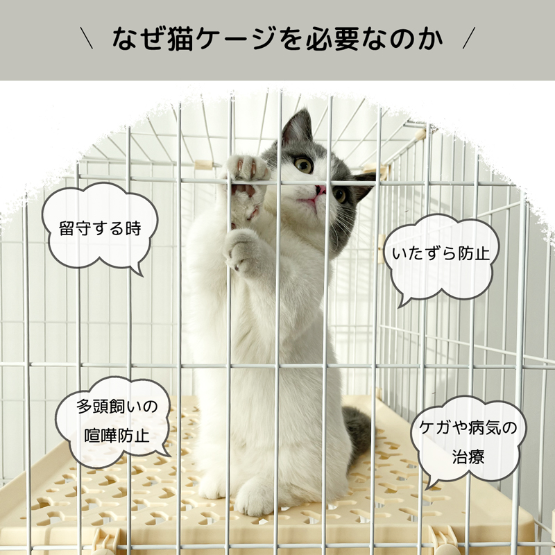 楽天市場】楽天スーパーSALE最大P10 RAKU 猫ケージ 大型 キャット