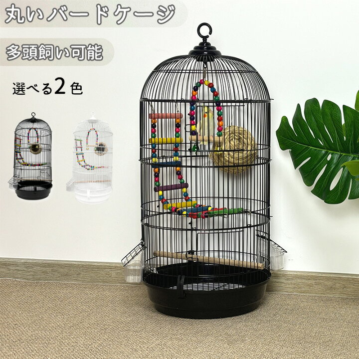 楽天市場】【マラソンSALE!P5倍＆限定700円】RAKU バードケージ 鳥かご 