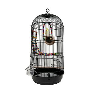 yBF W42803580zRAKU o[hP[W    33 s33 74cm P[W o[hpX ~܂  GT2 uR o[hubWt  ȒP 