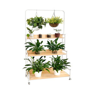 y}\I10%OFFzRAKU v^[bN ϗtAX^h 3i ݂蔫Ή wt[bN |I ؖڒ i`J[ ϗtAI t[X^h AؔbN ݂艺 