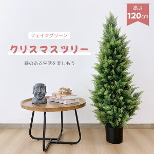 yP5{10%OFFzRAKU tFCNO[ NX}Xc[ 120cm AȎ}t sv ԕ/̐SzȂ ͂Ȃ t i v[g JX/Vzj /rO/Q 