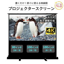 楽天市場】La-Kakus 100インチ プロジェクタースクリーン 16:9の通販 