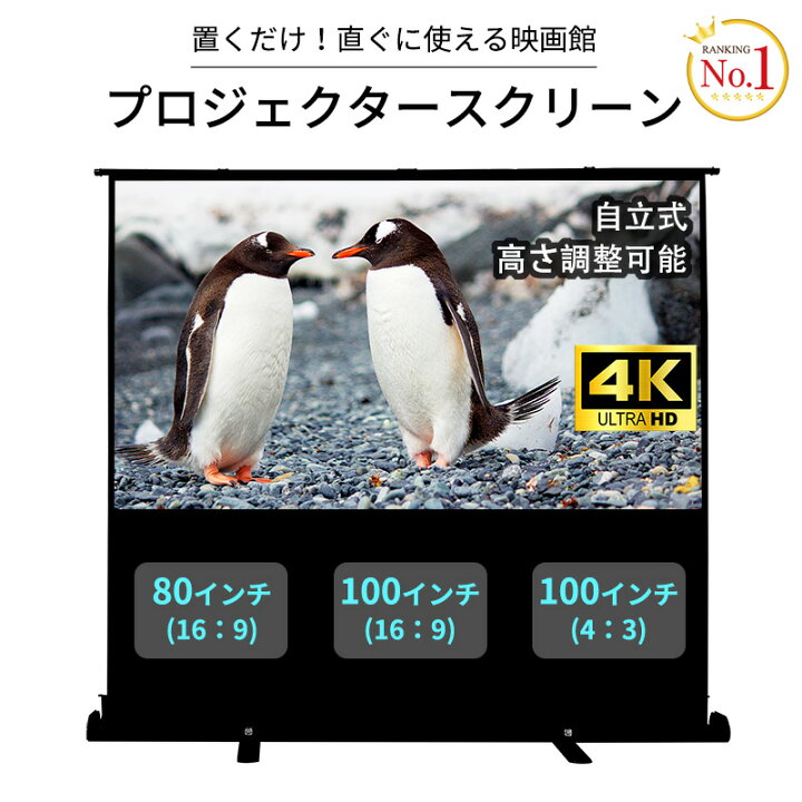 楽天市場】【マラソン21098⇒18988〜】RAKU ＼楽天1位／自立式 
