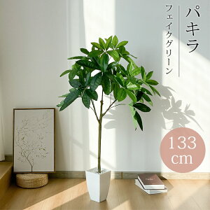 RAKU 125cm tFCNO[ oL ^ lHϗtA lHϗt ϗtA ϗt lHA lH ~ CeAO[ A Op  t JXj ȒP sv