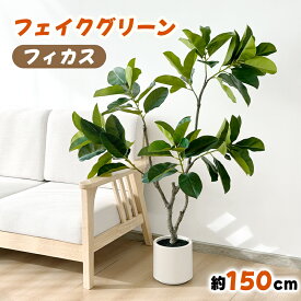 【ラストSS限定！1599円OFF⇒14398】RAKU 150cm フィカス フェイクグリーン 大型 人工観葉植物 人工観葉樹 観葉植物 観葉樹 人工植物 人工樹木 盆栽 インテリアグリーン 鉢植 室内室外用 造花 鉢付 オフィス 開店祝い お手入れ簡単 水やり不要 虫害の心配なし