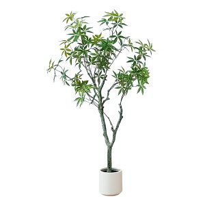 yӍՁI1000~OFF5498~`zRAKU 120cm xW~ tFCNO[ ^ lHϗtA lHϗt ϗtA ϗt lHA lH ~ CeAO[ A Op  