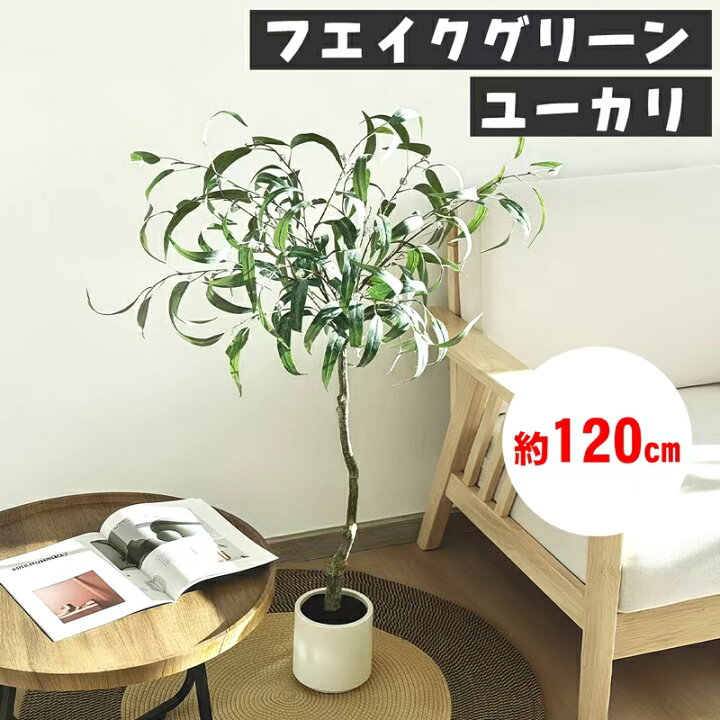 楽天市場】【マラソンSALE500円OFF⇒6498】RAKU パキラ フェイク 