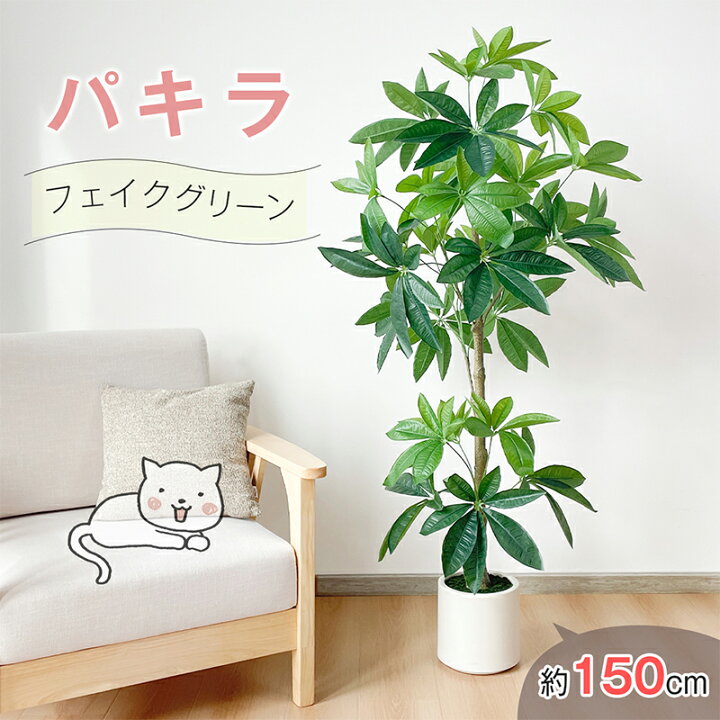 楽天市場】【マラソンSALE777円OFF⇒7222】RAKU パキラ フェイク 