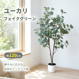 【週末SALE1000円OFF⇒4499〜】RAKU ユーカリ フェイクグリーン 観葉植物 人工観葉植物 高さ約120cm 大型 鉢付き 人工観葉樹 世話不要 調整可能 お手入れ簡単 本物そっくり フェイク植物 室内 屋外 インテリア 玄関 リビング オフィス 開店祝い 新築祝い 引越し祝い