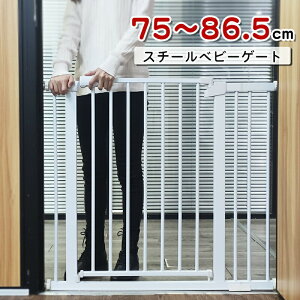 yBF W777~OFFE4798`zRAKU xr[Q[g SQ[g ԂtFX ˂^Cv I[gN[Y@\ Jsv O90xJ J 玙pi 78cm ݒu75`146CM { z