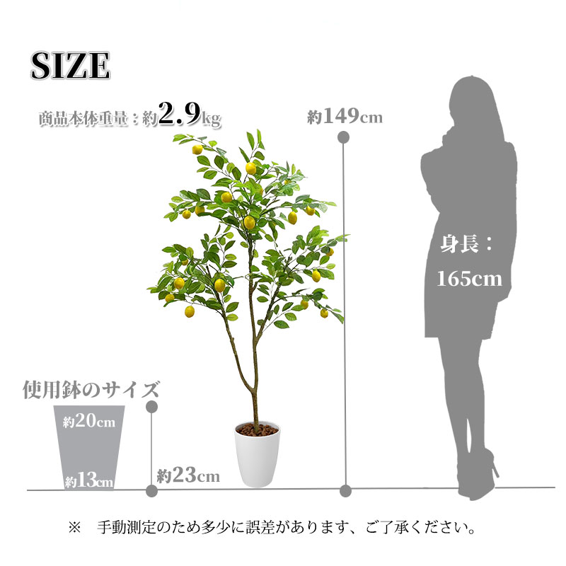 黄色のリンドウの植物学的研究」 【フレームサイズ 39.5×30.5cm】-