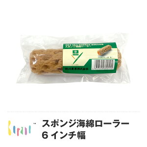 X|WCȃ[[ 6C` ֐yCg h yL CeA   Ƌ h DIY