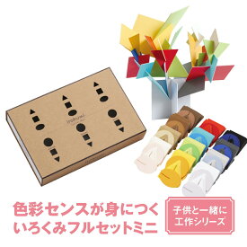 いろくみフルセットミニ irokumi 144ピース入り 3歳以上 グループ 授業 知育玩具 想像力 配色 トレーニング 造形教室 学校 大人向3歳 幼児 園児 小学生 男の子 女の子 誕生日 クリスマス ギフトセット プレゼント 知育おもちゃ 男 女 おもちゃ