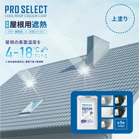 PRO SELECT 屋根用遮熱塗料 ホワイト 14kg 関西ペイント ペンキ 塗料 水性 つやあり 赤外線反射 遮熱塗料 紫外線 速乾性 水性シリコン遮熱屋根用 ホワイト 銀黒 モスグリーン グレー ネオブラック 14K PRO SELECT業務用 日本製
