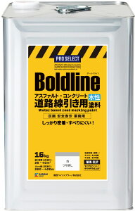 yԏꃉChz֐yCgu[mPRO-SELECT-BOLDLINE /  2K/4K/8K/16K AXt@gւ̖ ~ Ր yL h ԏ C h