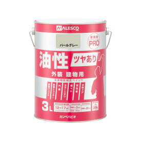 油性ツヤあり建物用PRO 3L 業務用塗料 外壁塗料 高耐久塗料 防水塗料 速乾塗料 防腐塗料 防錆塗料 防カビ塗料 家庭用塗料 鉄部用塗料 木部用塗料 水性ペンキ 広範囲塗装 耐候性塗料 高光沢塗料 簡単塗装 木製品用塗料 コンクリート塗料 プラスチック用塗料 木部鉄部塗装