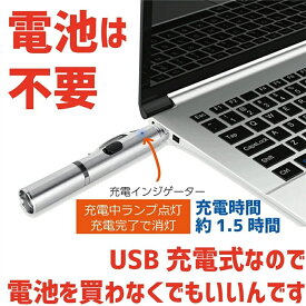 猫犬おもちゃ猫犬じゃらしLEDポインター猫犬グッズペット用品運動器具レーザーポインターLEDライト犬USB充電式肉球タイプ