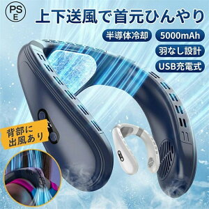 �������� �l�b�N�t�@�� USB�[�d�� ��̓� �l�C �a���� �É� �l�b�N�N�[���[ �ҏ� �M�t�g 3�i�K���� 5000mAh �|�C���g����