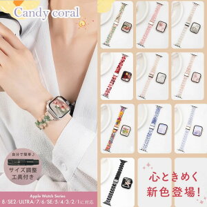�A�N�Z�T���[ ���f�B�[�X �ėpapple 40mm 8 42mm ��2���� ���� ���� 5 watch watch ������� 49mm series 7 �v���[���g 44mm ult