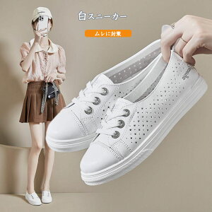 Xj[J[ fB[X  Xj[J[ bV WjA C y tďH R[gV[Y _XXj[J[ _XV[Y WYV[Y KV[Y 傫TCY Xj[J[ R[